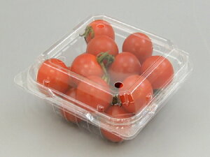 y2400z~jg}gp eCNAEg OP-51n fJ|}[  Ɩp Ǝ NA pbN e ƍ ~jg}g p 378823 vXe