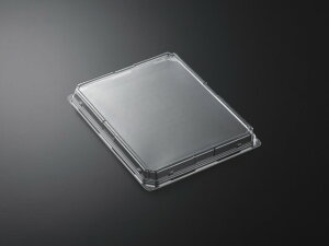 y400z܂牱N20-25 W w  Ɩp Ǝ ē Jr eCNAEg ĝ 461860