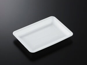 y1000zg[CN25-18FF (L) w ėp Ɩp Ǝ  N y  X[p[ gC 497495