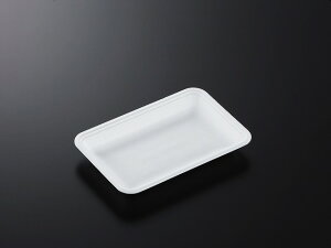 y2100zg[CN20-13E (L) w ėp Ɩp Ǝ  N y  X[p[ gC 504697
