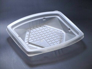 y600znCNbJ[ eCNAEg pD17 M XpbN Ɩp Ǝ e 528778