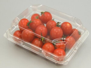 y900zMT-180AP GtsR`[p ʗp ~jg}g Ɩp Ǝ t[hpbN ٓ ٓ 549022