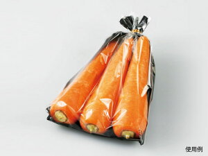 y10000zSB#25×9 4H v GtsR`[p Ɩp Ǝ    OPP  C ̉w _Y vX`bN 552916 vXe