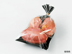 y10000zSB#25×8 4H v GtsR`[p Ɩp Ǝ    OPP  C ̉w _Y vX`bN 552917 vXe