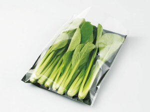 y5000܁zSB#25×12 4H v GtsR`[p Ɩp Ǝ    OPP  C ̉w _Y vX`bN 552924 vXe