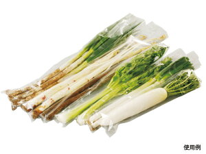 y3000܁zSB#25 15 4Hv GtsR`[p Ɩp Ǝ    OPP  C ̉w _Y vX`bN 552931 vXe