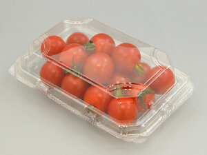 y1200zMT-100AP GtsR`[p ʗp ~jg}g Ɩp Ǝ t[hpbN 579131