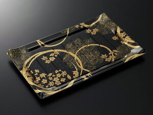 y300zHSgˎM 33-21 -BK g Ɩp Ǝ w i  eCNAEg ĝ O⻍ 622302