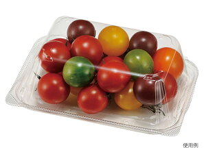 y600zʃJbvCFR200-AP 9H GtsR`[p ~jg}g Ɩp Ǝ _Y  655334