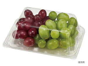 y400zʃJbvCFR300-AP 9H GtsR`[p ~jg}g Ɩp Ǝ _Y  655335