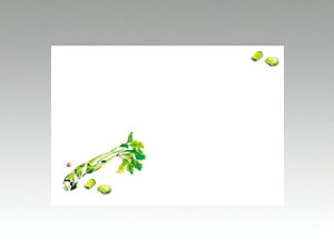 y100ze[u}bg 3 No.201 ǂƂ瓤 J~C\Y t(3-5) 哤CLgp ĝ  C[gC  V[g 00079266 vXe