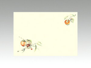 y100ze[u}bg 3 No.223 ` J~C\Y H(10-12) 哤CLgp ĝ  C[gC  V[g 00081306 vXe