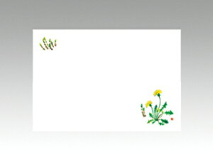 y100ze[u}bg 3 No.205ۂۂ J~C\Y t(2-4) 哤CLgp ĝ  C[gC  V[g 00083788 vXe