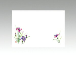 y100ze[u}bg 3 No.218 傤 J~C\Y t(5-6) 哤CLgp ĝ  C[gC  V[g 00086887 vXe