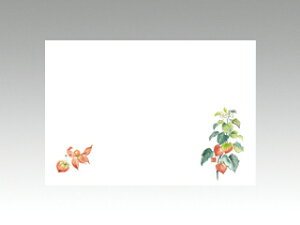 y100ze[u}bg 3 No.233 ق J~C\Y (7-8) 哤CLgp ĝ  C[gC  V[g 00088982 vXe