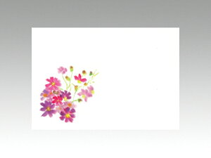 y100ze[u}bg 3 No.211 RXX J~C\Y H(9-11) 哤CLgp ĝ  C[gC  V[g 00091938 vXe