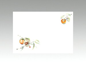 y100ze[u}bg 3 No.9223 ` J~C\Y H(10-12) 哤CLgp ĝ  C[gC  V[g 00094154 vXe
