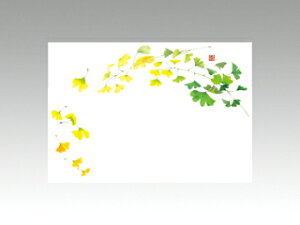 y100ze[u}bg 3 No.255 傤 J~C\Y H(10-11) 哤CLgp ĝ  C[gC  V[g 00114078 vXe