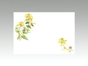 y100ze[u}bg 3 No.266 ؂̉ J~C\Y t(2-4) 哤CLgp ĝ  C[gC  V[g 00128243 vXe