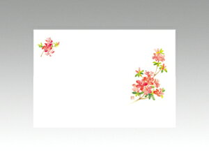 y100ze[u}bg 3 No.267  J~C\Y (5-6) 哤CLgp ĝ  C[gC  V[g 00130092 vXe