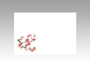 y100ze[u}bg 3 No.286 g~ J~C\Y t(2-3) 哤CLgp ĝ  C[gC  V[g 00162784 vXe