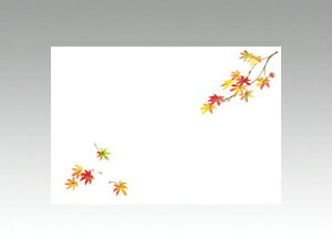 y100ze[u}bg 5 No.1924 gt J~C\Y H 哤CLgp ĝ  C[gC  V[g 00179549 vXe