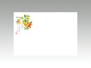 y100ze[u}bg 3 No.294  J~C\Y (7-9) 哤CLgp ĝ  C[gC  V[g 00192269 vXe