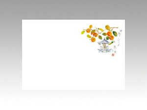 y100ze[u}bg 3 No.289 `Ƃ J~C\Y H(10-12) 哤CLgp ĝ  C[gC  V[g 00193959 vXe