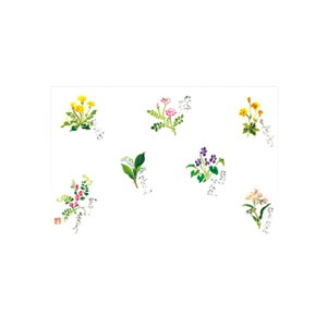 y100ze[u}bg 3 No.308 t̉ J~C\Y t(3-5) 哤CLgp ĝ  C[gC  V[g 00204233 vXe