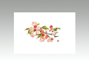 y100ze[u}bg 3 No.300 d J~C\Y t(3-4) 哤CLgp ĝ  C[gC  V[g 00205223 vXe