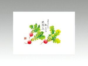 y100ze[u}bg 3 No.312 fBbV J~C\Y (7-9) 哤CLgp ĝ  C[gC  V[g 00209484 vXe