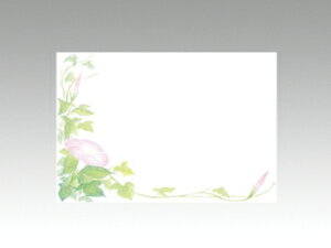 y100ze[u}bg 3 No.351  J~C\Y 6-8 哤CLgp ĝ  C[gC  V[g 00358597 vXe