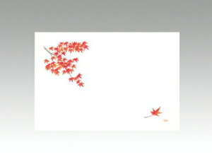 y100ze[u}bg 3 No.371 ݂ J~C\Y H(9-11) 哤CLgp ĝ  C[gC  V[g 00361313 vXe