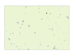 y100ze[u}bg 3 No.332 t  J~C\Y I[V[Y 哤CLgp ĝ  C[gC  V[g 00369921 vXe