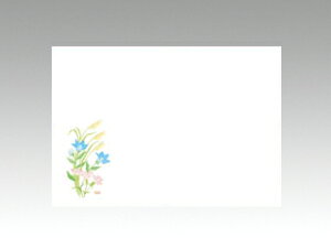 y100ze[u}bg ㎿-104 H̑ J~C\Y 9-10ĝ  C[gC  V[g 00381220 vXe