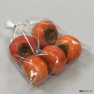 y5000zI[pbN13Kii xO[CY 00410492 vXe