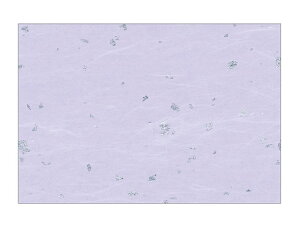 y100ze[u}bg 3 No.331 t ӂ J~C\Y I[V[Yĝ  C[gC  V[g 00423407 vXe