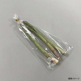 【23日20:00~27日1:59★ポイント2倍】 【5000枚】オーラパック9号規格品 ベルグリーンワイズ 00424873 プロステ