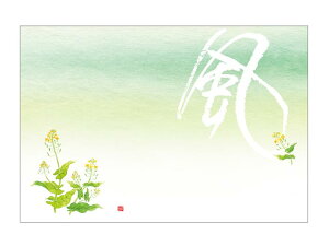 y100ze[u}bg 3 No.427 Ԓ: J~C\Y 2[3ĝ  C[gC  V[g 00534670 vXe