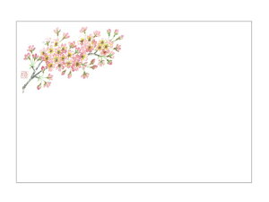 y100ze[u}bg 3 No.464 \CVm J~C\Y 3[4ĝ  C[gC  V[g 00534677 vXe