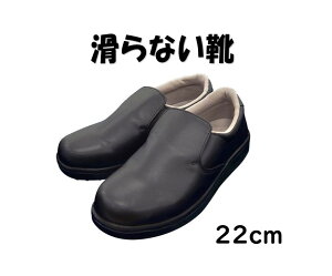 y1/oz ZC VFtObv  22.0cm pbNX^C Ɩp C ϊ ϖ R hL Ȃ ɂ Dw DP RbNV[Y ȂC 00550682 vXe