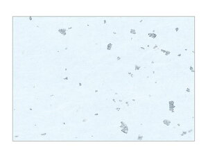 y100ze[u}bg 3 No.330 t ݂ J~C\Y I[V[Yĝ  C[gC  V[g 00581314 vXe