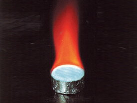 【320個/ケース】 固形燃料 ニイタカ カエン ニューエースE 25g （20個入×16袋） 鍋 寄せ鍋 釜めし ホテル 旅館 コンロ キャンプ 00595182 プロステ