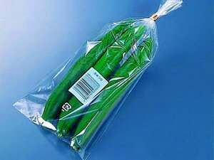 y10000zFG20#150x300 2 |Xイ xO[CY 00033470 vXe