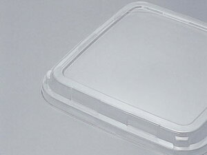 y600ztWTR-36F H ĝĕٓe eCNAEg 00072932