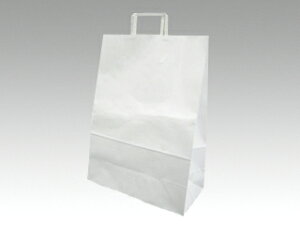 y150z bs[obNNo.1 Nn H   ̑ GR v[g 蕨 00109860 vXe