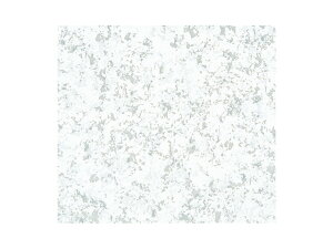 y200_z748  tXeB(O[) S xx 00110755