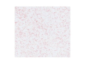 y300z746  tXeB(sN) S xx v[g bsO  00123195 vXe