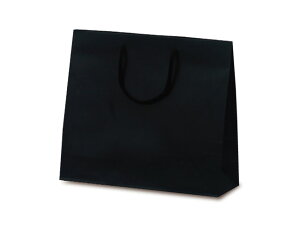 y100z1038  T-6 J[Ntg ubN xx   ̑ GR v[g 蕨 00154168 vXe