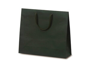 y100z1030  T-6 J[Ntg O[ xx   ̑ GR v[g 蕨 00154174 vXe